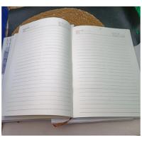 Sanrio Kawaii Kuromi Hello Kitty My Melody Büyük Boy Kendinden Şeffaf Kılıflı Defter 1adet